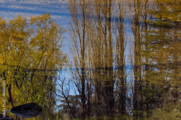 Fototapeta REFLEJO EN EL TRAPICHE