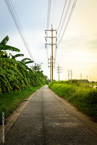 Obraz road in the countryside