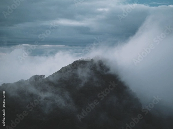 Obraz OLYMPUS DIGITAL CAMERA