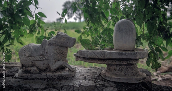 Fototapeta statue in the temple