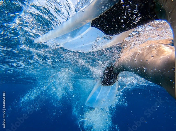 Fototapeta Flippers in ocean of South Ari Atoll, Maldives