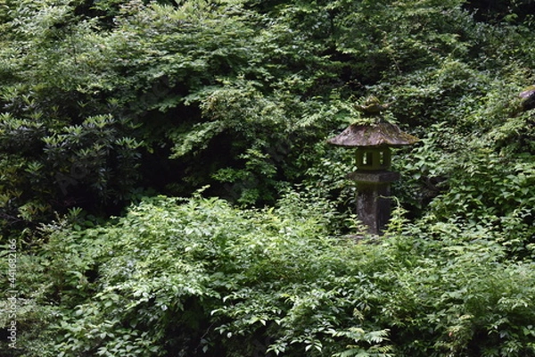 Fototapeta 日本　群馬のパワースポット　榛名神社　夏の風景