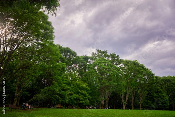 Obraz 乗ってきた自転車を止め、公園で休憩する男性