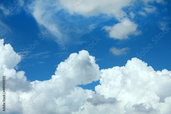 Fototapeta 夏の空