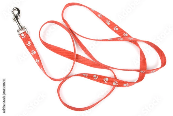 Fototapeta Red nylon dog lead or leash with paw print pattern on white
