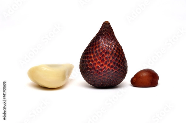 Obraz Close-up snake fruit studio shoot white background