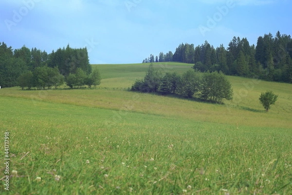 Fototapeta Summer fields with blue sky