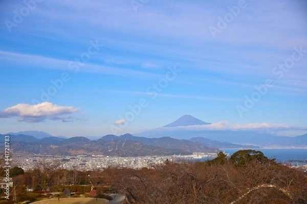 Obraz 日本平からの富士山