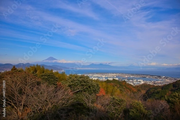 Obraz 日本平からの富士山