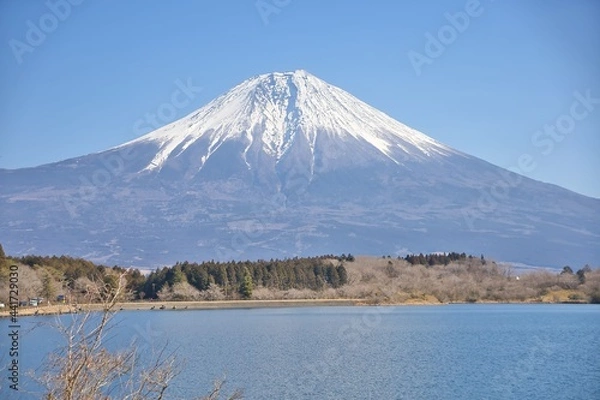 Obraz 湖と富士山