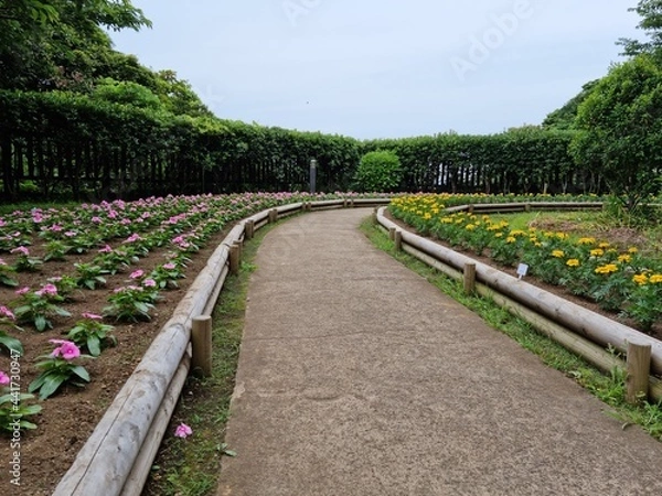 Obraz path in the garden