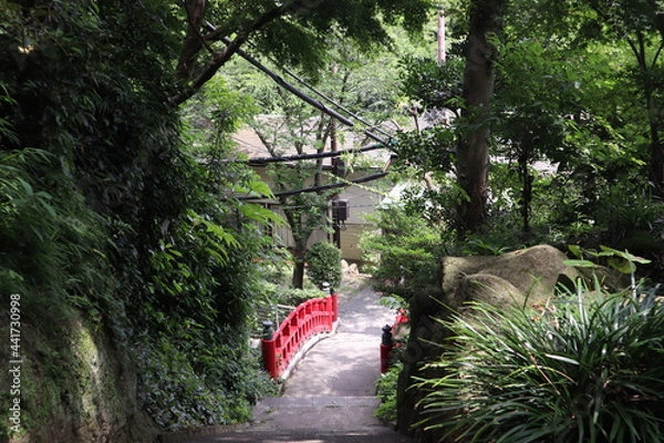 Obraz waterfall in the forest