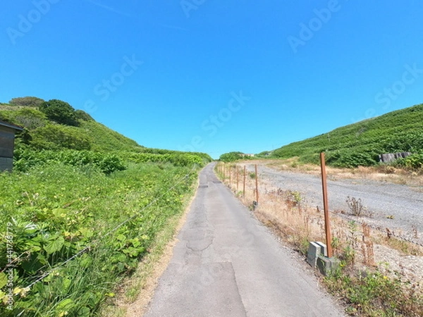 Fototapeta 小樽の道、北海道