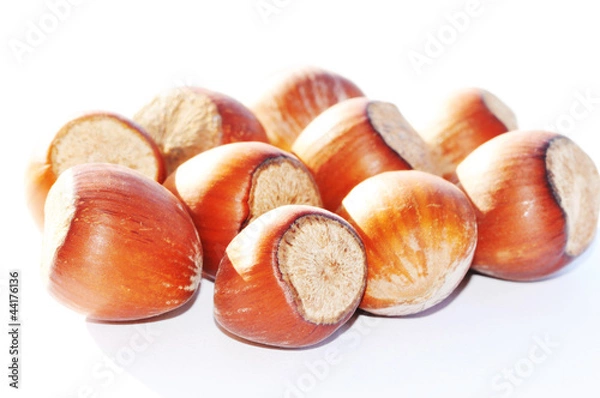 Obraz Hazelnuts