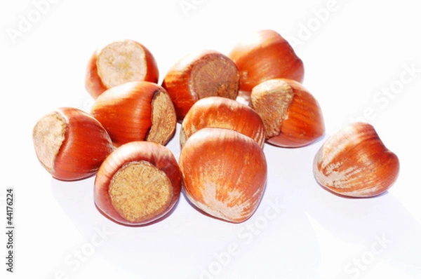 Obraz Hazelnuts