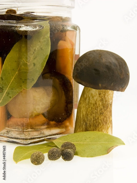 Obraz mushrooms in he jar