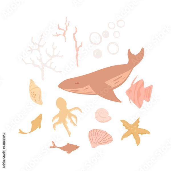 Fototapeta Set of sea animals. Whale, fish, octopus, jellyfish, shell, corals, bubbles water element. Collection of aquatic creatures isolated on white. Vector illustration for print, stickers