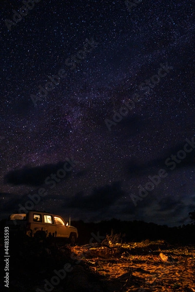 Obraz night in the desert