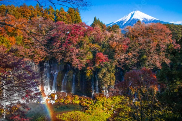 Fototapeta 富士山と虹のかかる紅葉の白糸の滝