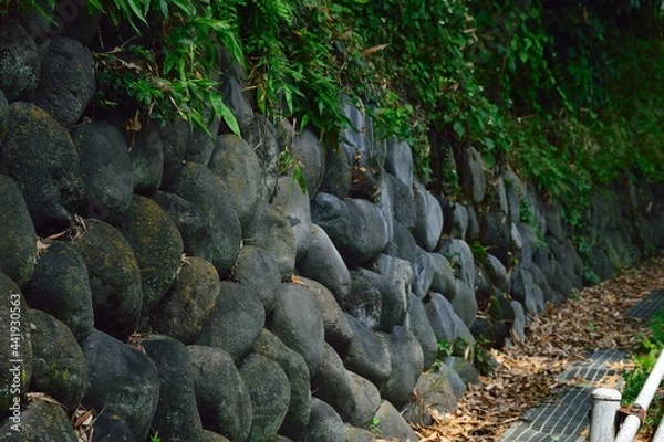 Obraz moss covered rocks