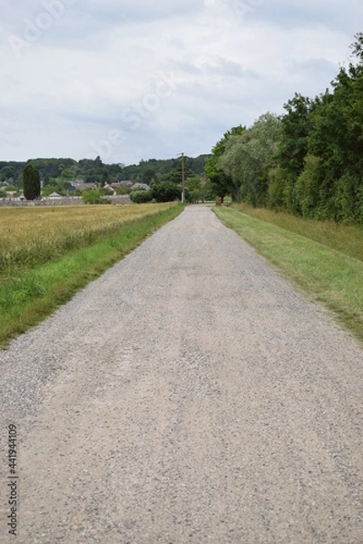 Fototapeta Chemin blanc avec des arbres sur le côté