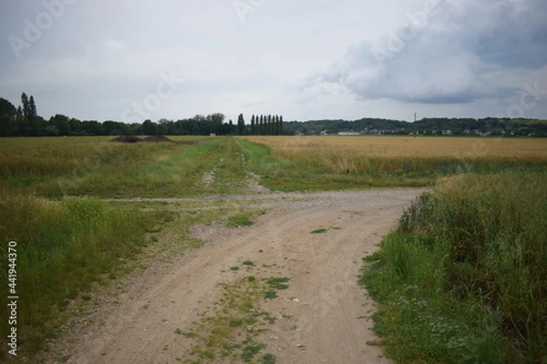 Fototapeta Intersection sur un chemin de campagne