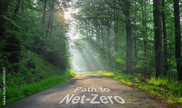 Obraz The Path to Net-Zero 2050