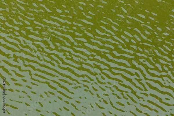 Fototapeta The colorful and vivid green water waves background or texture with ripples, flares and highlights after wind or breeze