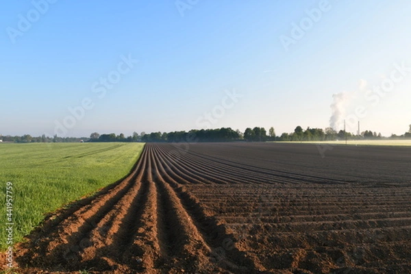 Obraz plowed field in spring