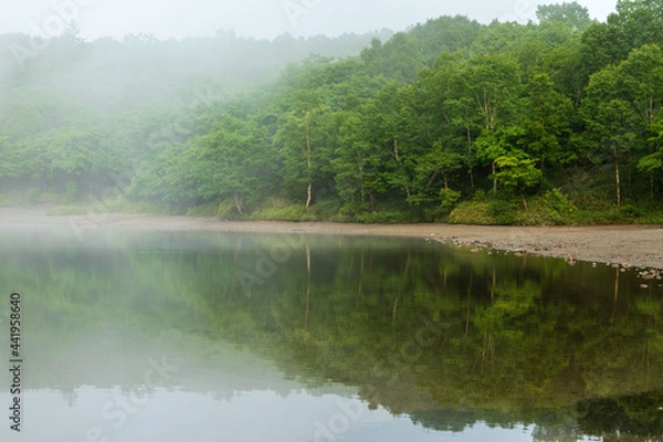 Fototapeta 朝もやの赤城山小沼の湖面に映る新緑の林