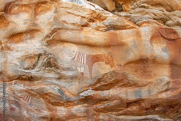 Fototapeta Livestock cow and human rock paintings on the surface of the rock in Laas Geel, Somaliland