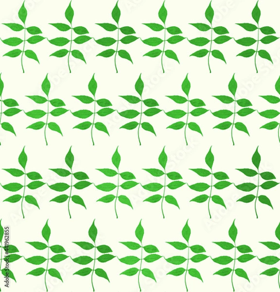 Fototapeta Seamless pattern of green branch with leaves on a white background