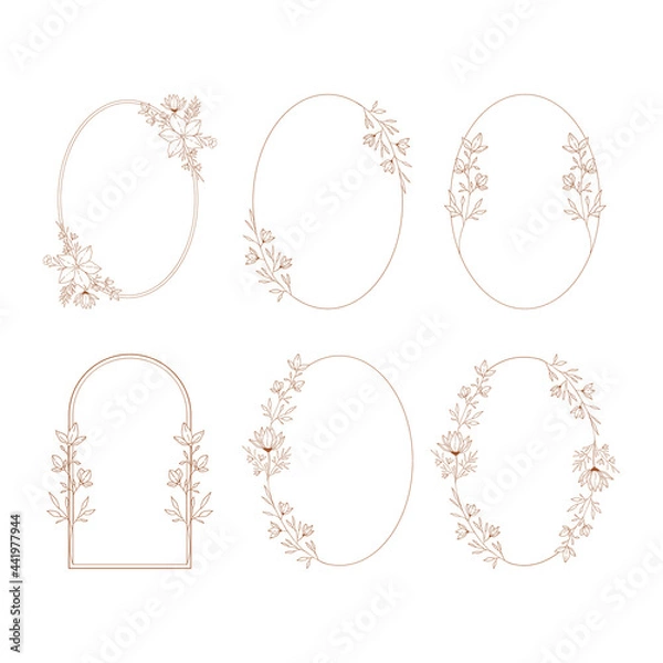Fototapeta Set of hand drawn oval frames. Floral and botanical borders.  Vector isolated illustration.