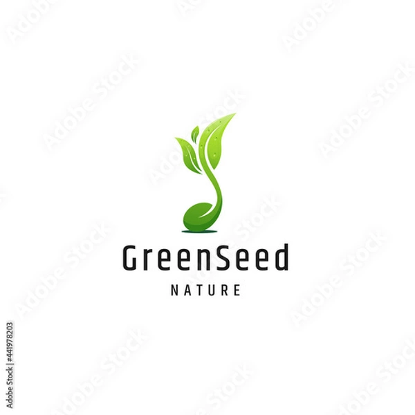 Obraz Green seed nature logo icon design template vector
