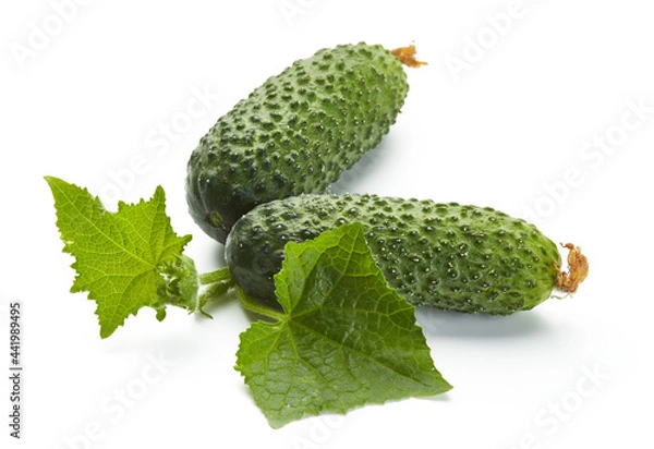 Fototapeta fresh cucumbers