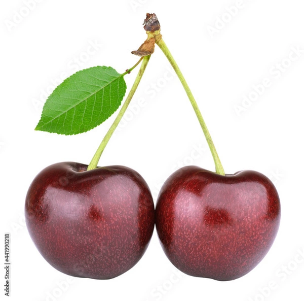 Fototapeta ripe cherry