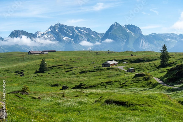 Obraz Schweiz im Sommer Churfirsten
