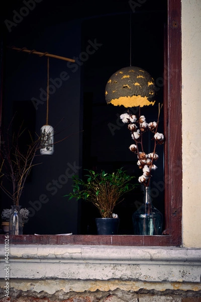 Obraz cotton in the window