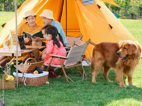 Obraz Happy family of four and dog camping out