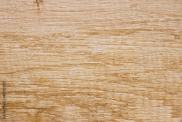 Obraz Photo of the Surface of the Coating Type "Natural Nebraska Oak", Russian, Applied to A Chipboard
