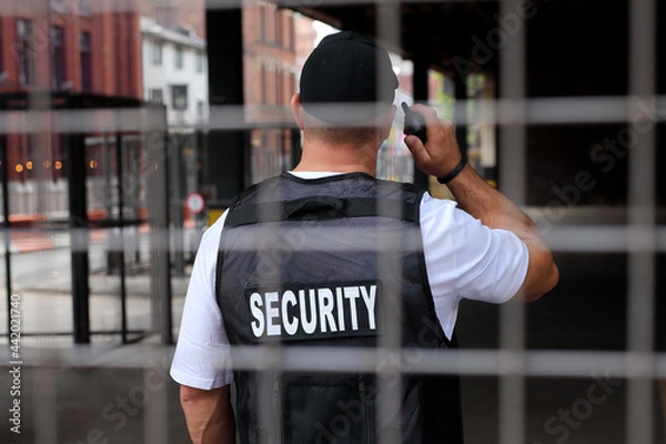 Obraz Security Guard