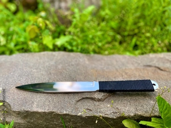 Fototapeta A throwing hunting knife with a long blade and a handle wrapped in a rope lies on a natural stone among the plants.