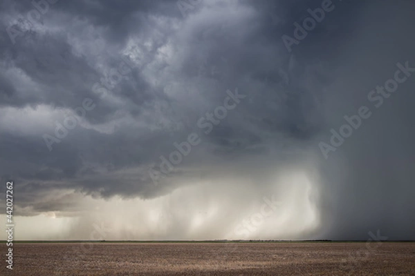 Fototapeta A severe storm with an intense precipitation shaft dumps rain and hail over the flat landscape of Kansas.