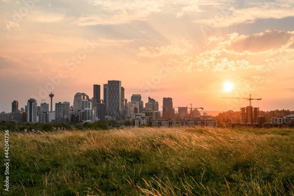 Obraz Calgary skyline, summer sunset
