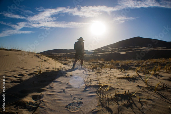 Fototapeta landscape in the desert