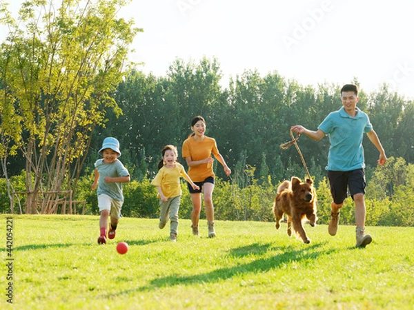 Obraz Happy family of four and pet dog playing in the park