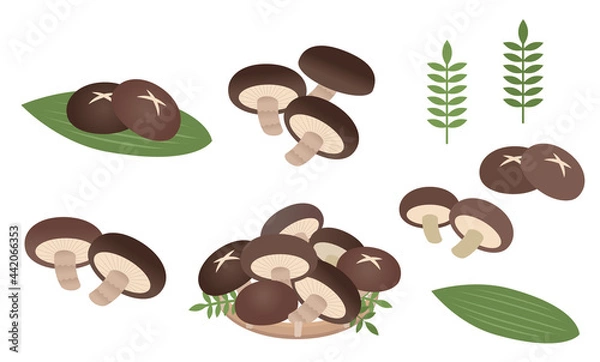 Fototapeta しいたけ盛り合わせ　シイタケのイラストセット
