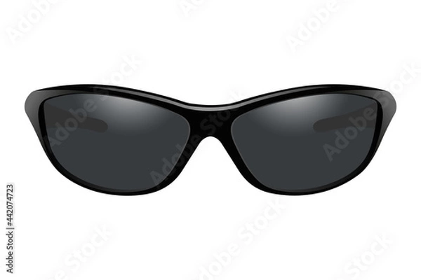 Fototapeta Sunglasses. Vector image on a white background.