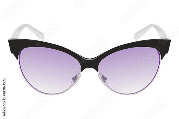 Fototapeta Sunglasses. Vector image on a white background.