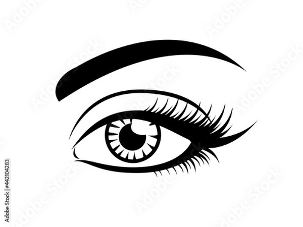 Obraz Longe eyelashes icon, black vector on white. Female eye glamour icon with brow and lashes.